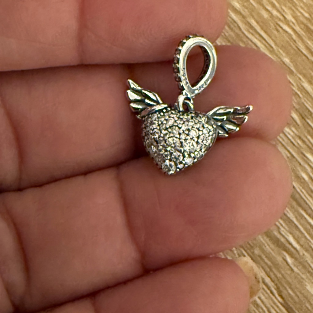 Silver Winged Heart Charm Pendant - Pets Bird